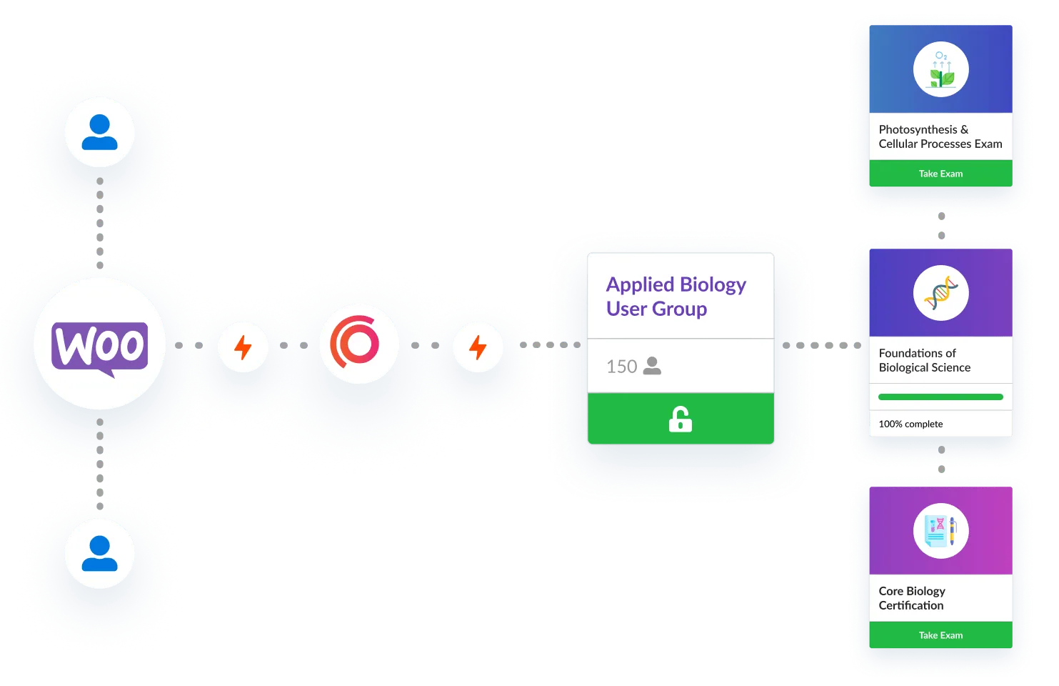 Synap Integrations