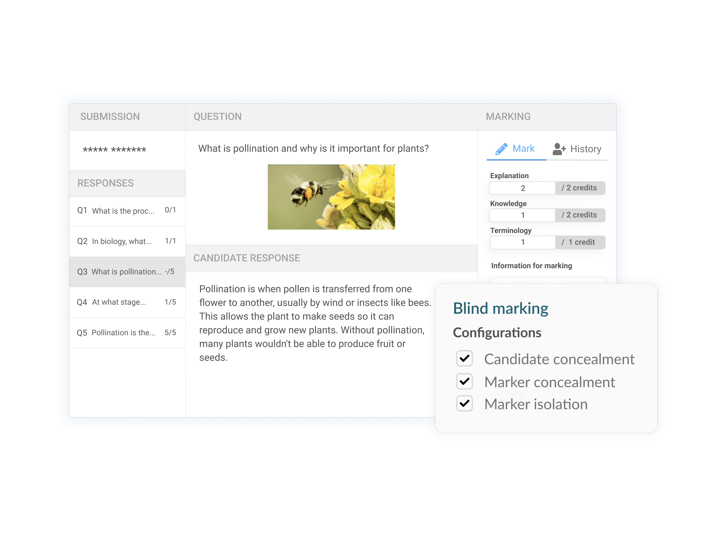 Blind marking configurations showing candidate and marker concealment in the Synap marking UI.