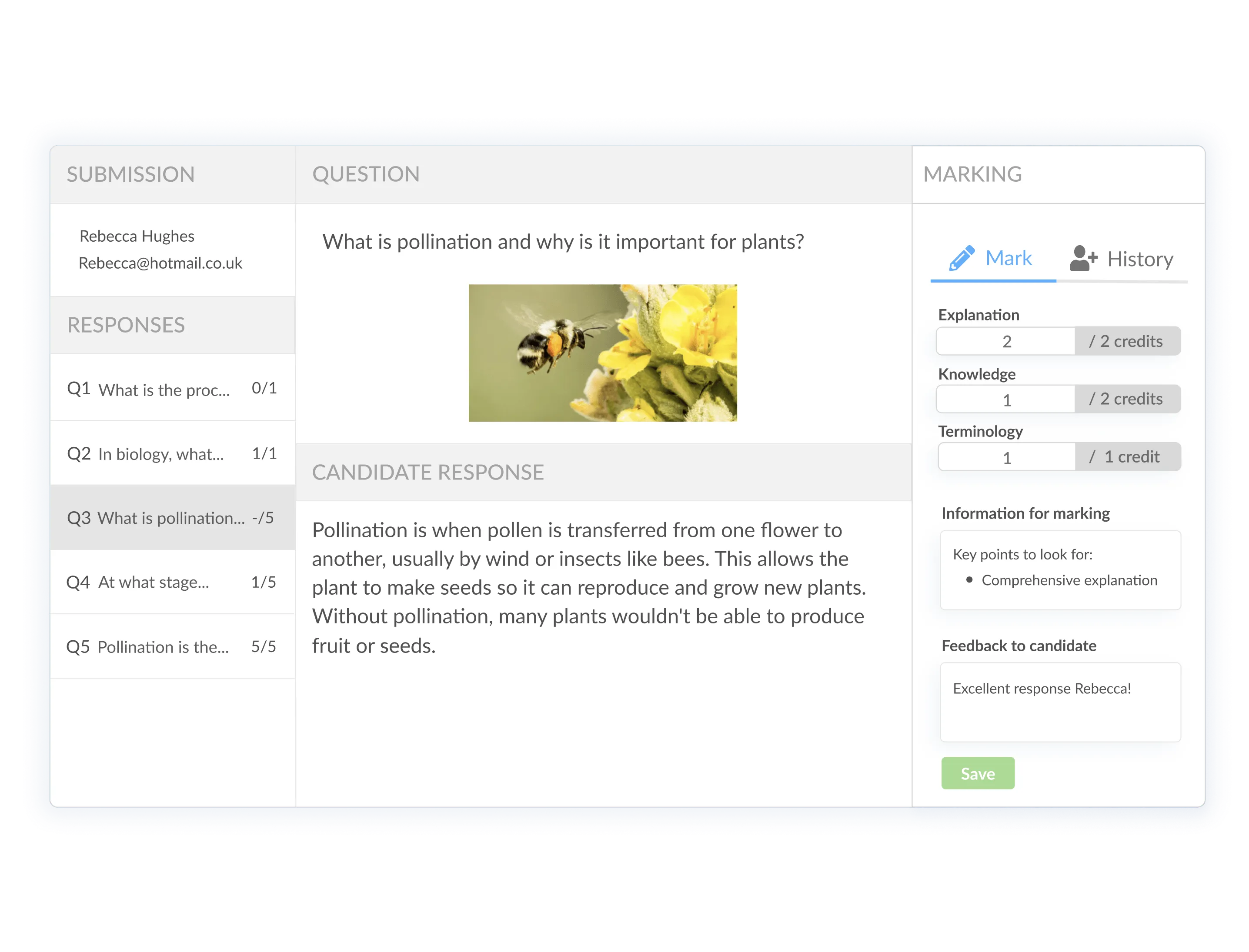 On-platform marking interface with rubric credits, marking guidelines and candidate feedback fields.